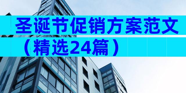圣诞节促销方案范文（精选24篇）