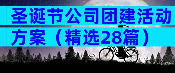 圣诞节公司团建活动方案（精选28篇）