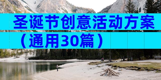 圣诞节创意活动方案（通用30篇）