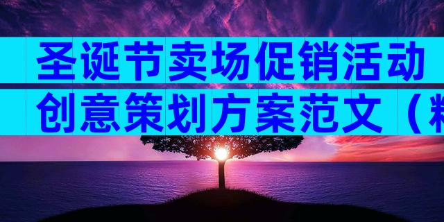 圣诞节卖场促销活动创意策划方案范文（精选3篇）