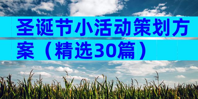 圣诞节小活动策划方案（精选30篇）