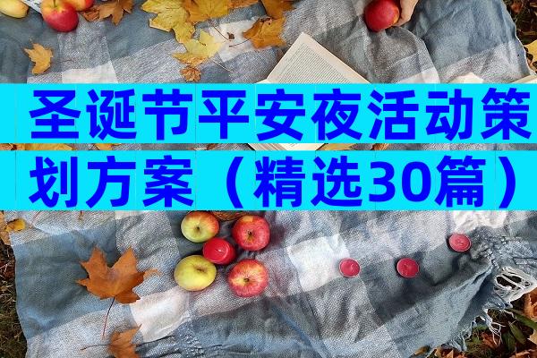 圣诞节平安夜活动策划方案（精选30篇）