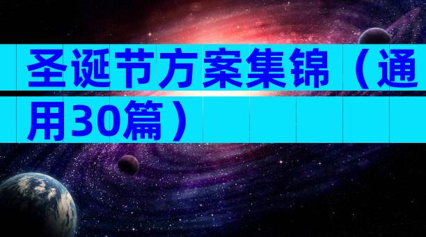 圣诞节方案集锦（通用30篇）