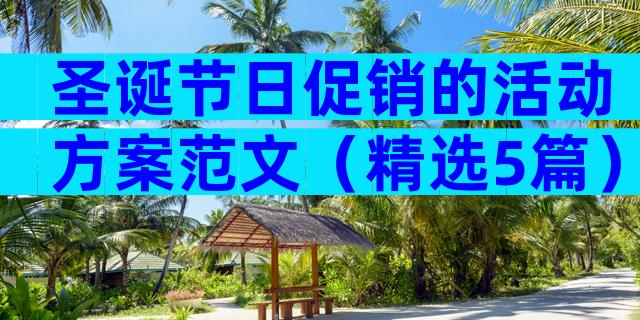 圣诞节日促销的活动方案范文（精选5篇）