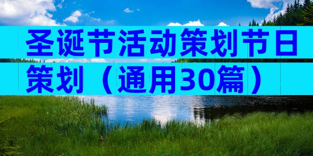 圣诞节活动策划节日策划（通用30篇）