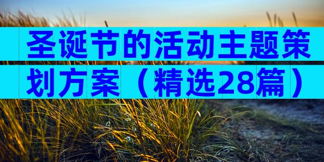圣诞节的活动主题策划方案（精选28篇）