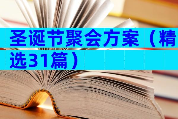 圣诞节聚会方案（精选31篇）