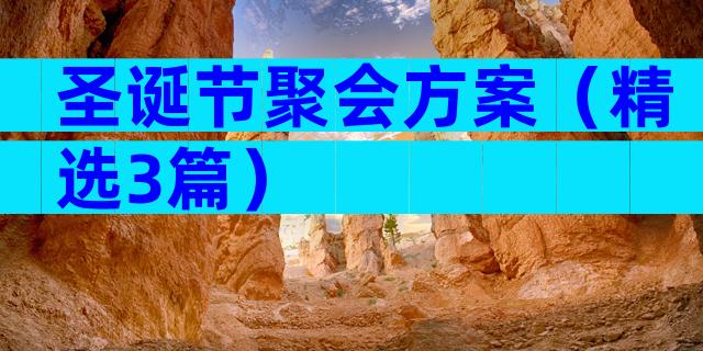 圣诞节聚会方案（精选3篇）