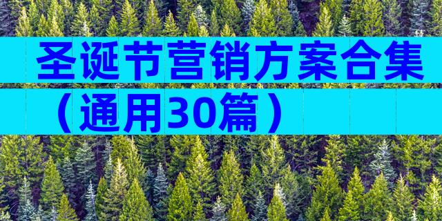 圣诞节营销方案合集（通用30篇）