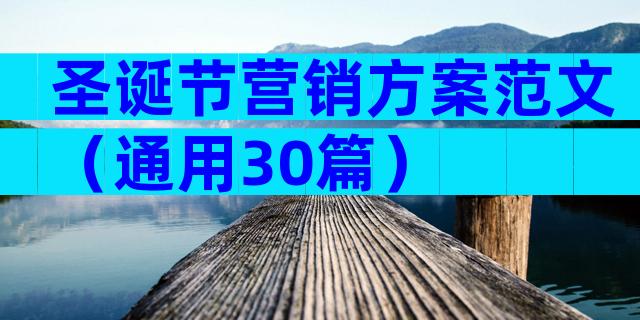 圣诞节营销方案范文（通用30篇）