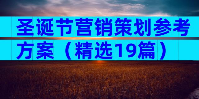 圣诞节营销策划参考方案（精选19篇）