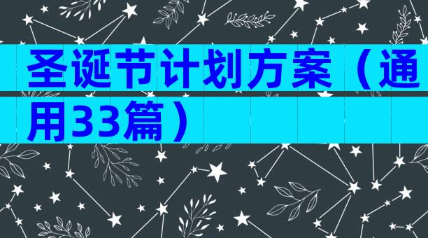 圣诞节计划方案（通用33篇）