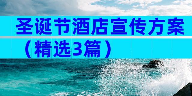 圣诞节酒店宣传方案（精选3篇）