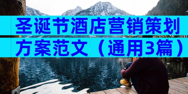 圣诞节酒店营销策划方案范文（通用3篇）