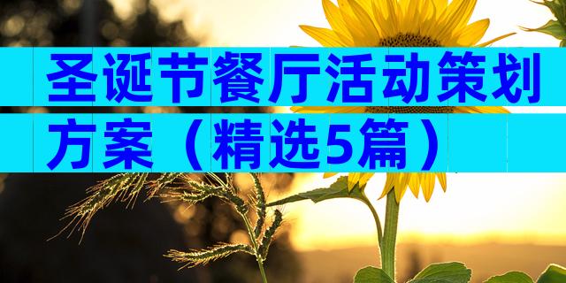 圣诞节餐厅活动策划方案（精选5篇）