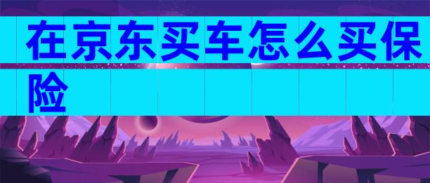 在京东买车怎么买保险