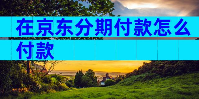 在京东分期付款怎么付款