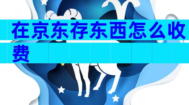 在京东存东西怎么收费