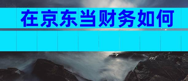 在京东当财务如何