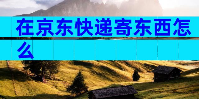 在京东快递寄东西怎么