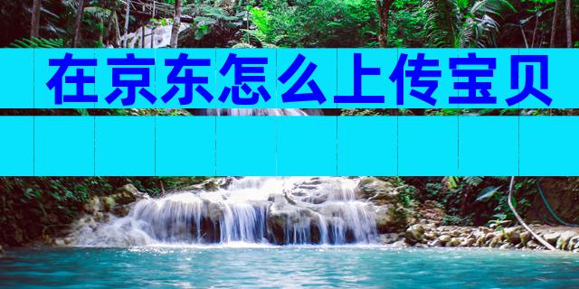 在京东怎么上传宝贝