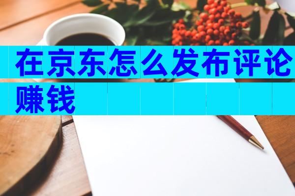 在京东怎么发布评论赚钱
