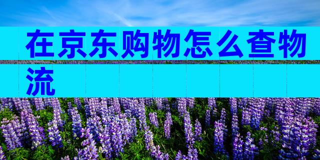 在京东购物怎么查物流