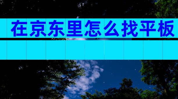 在京东里怎么找平板