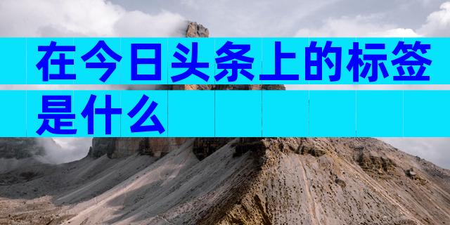 在今日头条上的标签是什么