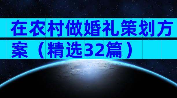 在农村做婚礼策划方案（精选32篇）