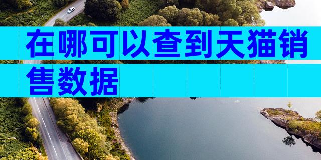 在哪可以查到天猫销售数据