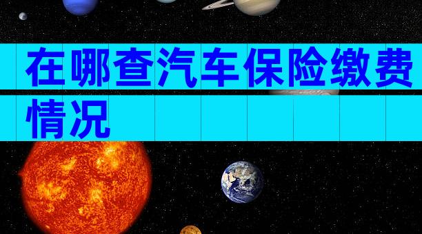 在哪查汽车保险缴费情况