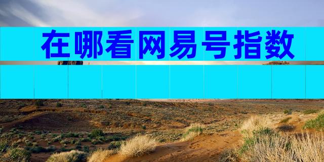 在哪看网易号指数