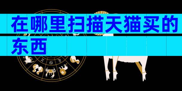在哪里扫描天猫买的东西