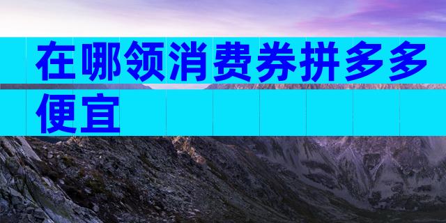 在哪领消费券拼多多便宜