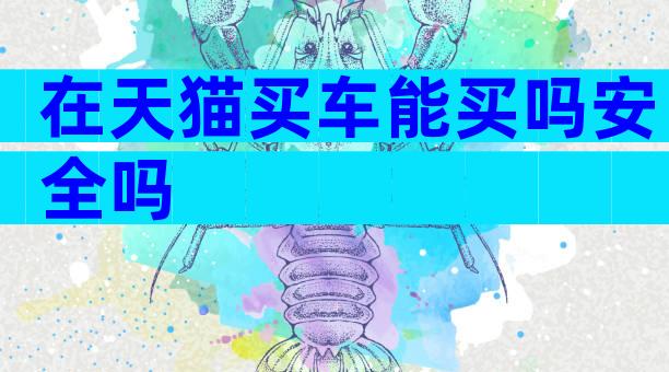 在天猫买车能买吗安全吗