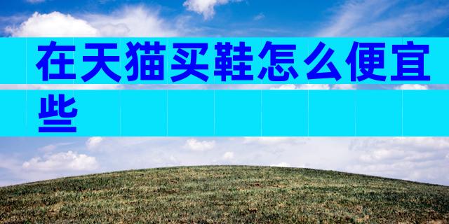 在天猫买鞋怎么便宜些