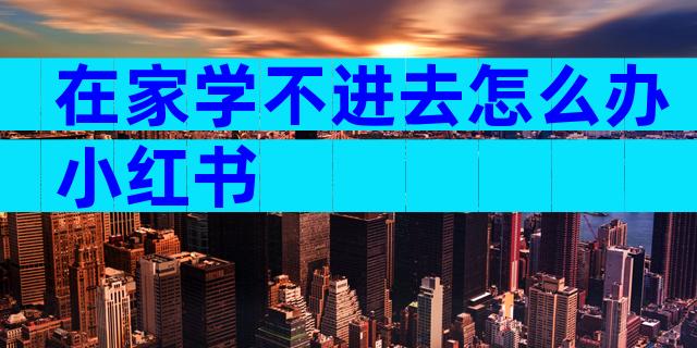 在家学不进去怎么办小红书