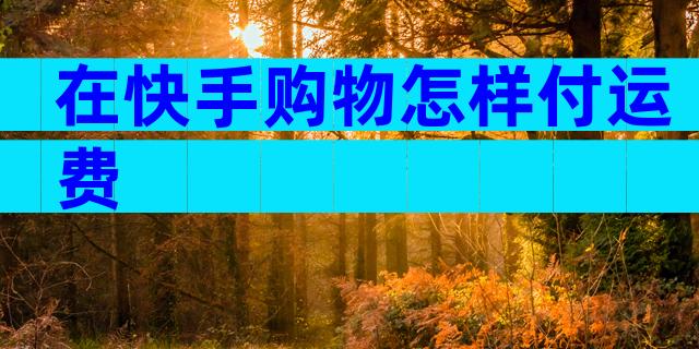 在快手购物怎样付运费