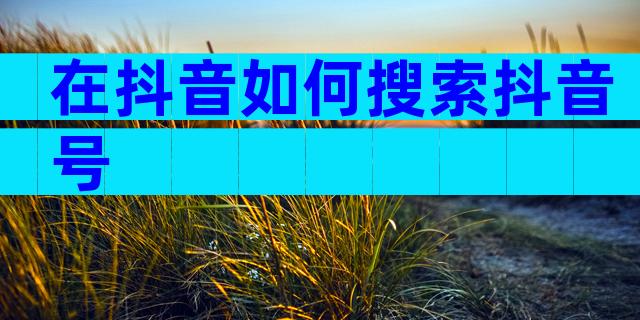 在抖音如何搜索抖音号