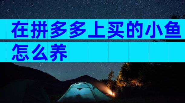 在拼多多上买的小鱼怎么养