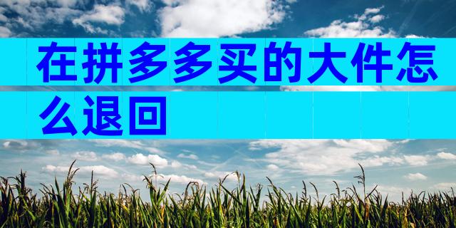 在拼多多买的大件怎么退回