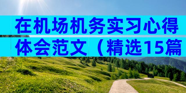 在机场机务实习心得体会范文（精选15篇）