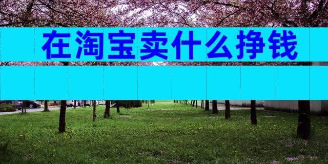 在淘宝卖什么挣钱