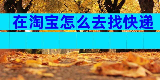 在淘宝怎么去找快递