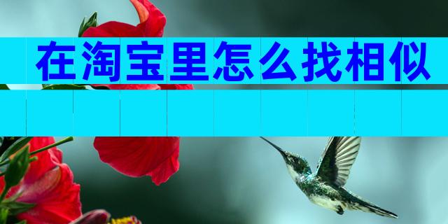 在淘宝里怎么找相似