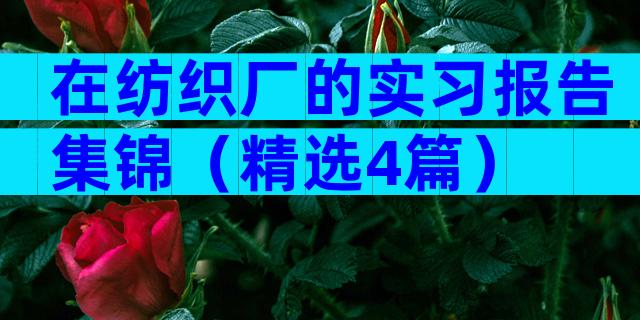 在纺织厂的实习报告集锦（精选4篇）