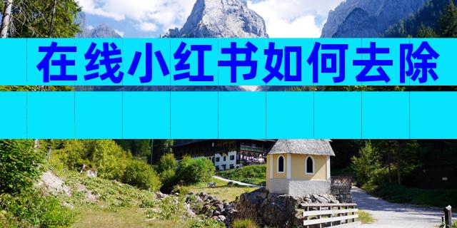 在线小红书如何去除