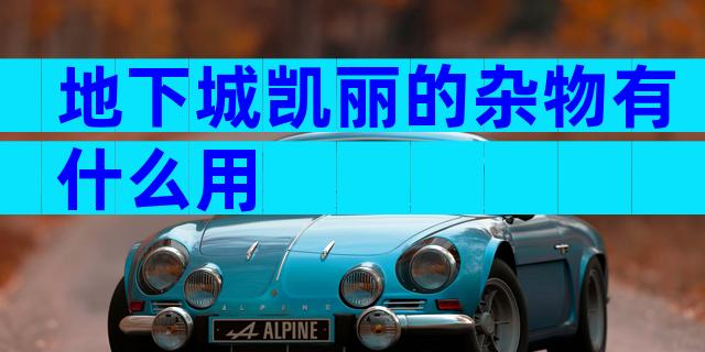 地下城凯丽的杂物有什么用