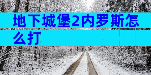 地下城堡2内罗斯怎么打